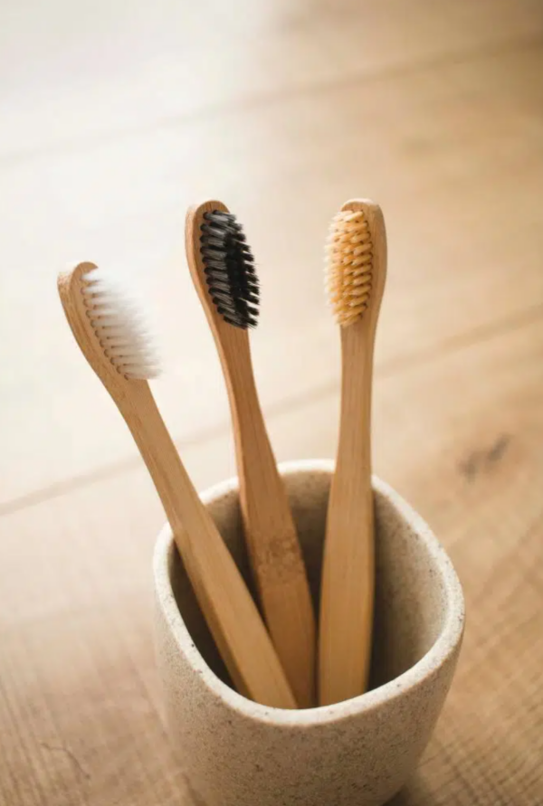Eco-Friendly Bamboo Toothbrush (Pack of 3)